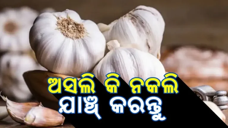 ବଜାରରେ ଚାଇନିଜ୍ ରସୁଣ: ଏପରି କରନ୍ତୁ ଯାଞ୍ଚ୍…