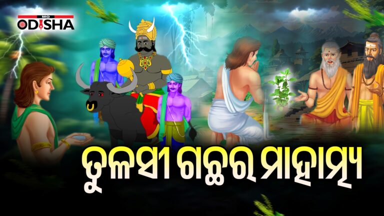 ତୁଳସୀ ଗଛର ମାହାତ୍ମ୍ୟ