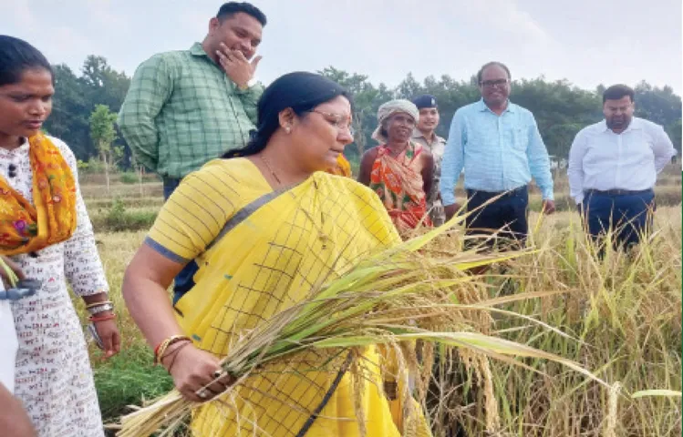 ଧାନ କାଟିଲେ କେନ୍ଦ୍ରମନ୍ତ୍ରୀ