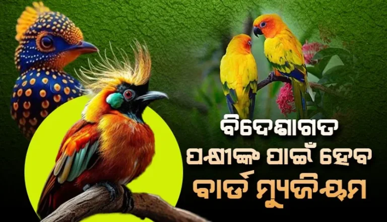 ବିଦେଶାଗତ ପକ୍ଷୀଙ୍କ ପାଇଁ ବାର୍ଡ ମ୍ୟୁଜିୟମ: ଉପମୁଖ୍ୟମନ୍ତ୍ରୀ ପ୍ରଭାତୀ ପରିଡ଼ା