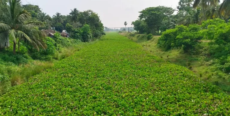 ଆସୁଛନ୍ତି କେନ୍ଦ୍ରୀୟ ଟିମ୍, ତଦାରଖ କରିବେ ଓଡ଼ିଶା କୋଷ୍ଟ କେନାଲ ପୁନଃରୁଦ୍ଧାର ବିକାଶ କାର୍ଯ୍ୟ