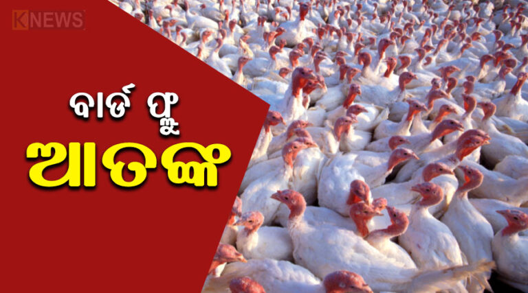 ଖୋର୍ଦ୍ଧାରେ ବାର୍ଡଫ୍ଲୁ ଚିହ୍ନଟ, ଲୋକେ ଆତଙ୍କିତ
