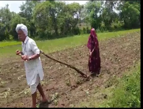 ଫିଲ୍ମ ‘ମଦର ଇଣ୍ଡିଆ’ ପରି ଶ୍ୱଶୁର ବଳଦ ଭଳି ଲଙ୍ଗଳ ଟାଣୁଛନ୍ତି,ବୋହୂ କ୍ଷେତ ହଳ କରୁଛନ୍ତି