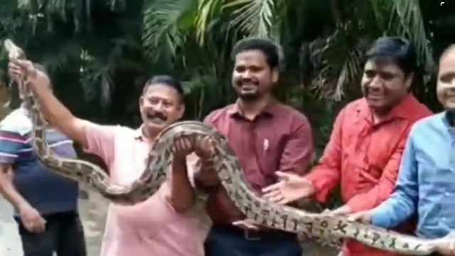 ଉପ ଜିଲ୍ଲାପାଳଙ୍କ କାର୍ଯ୍ୟାଳୟରୁ ବିରାଟ ବଡ଼ ଅଜଗର ସାପ ଉଦ୍ଧାର