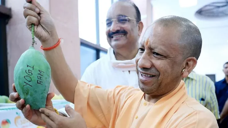 ଚର୍ଚ୍ଚାରେ ‘ଯୋଗୀ ଆମ୍ବ’ ! ନିଜ ନାମ ଦେଖି ଏଭଳି ଦେଲେ ପ୍ରତିକ୍ରିୟା