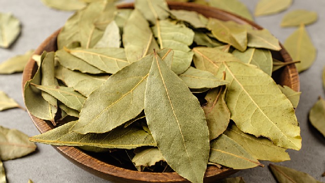 ତେଜପତ୍ରର ଲାଭକାରୀ ଗୁଣ, ଡାଇବେଟିସରୁ ଆରମ୍ଭ କରି କେଶ ସମସ୍ୟାରୁ ଦେଇଥାଏ ମୁକ୍ତି