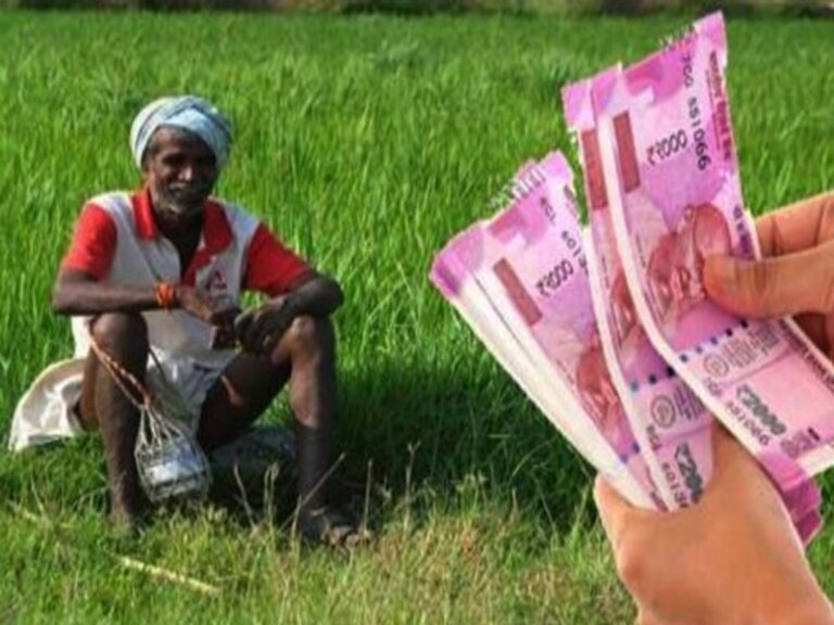 ଚାଷୀଙ୍କୁ ରାଜ୍ୟ ସରକାରଙ୍କ ନୂଆଁଖାଇ ଭେଟି, ଖାତାକୁ ଗଲା ସିଏମ୍ କିଷାନ୍ ୩ୟ କିସ୍ତି ଟଙ୍କା
