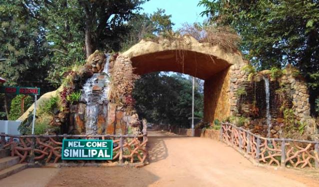 ଆଜିଠୁ ଖୋଲିଲା ଶିମିଳିପାଳ, ବ୍ୟାଘ୍ର ପ୍ରକଳ୍ପର ମଜା ନେବେ ପର୍ଯ୍ୟଟକ