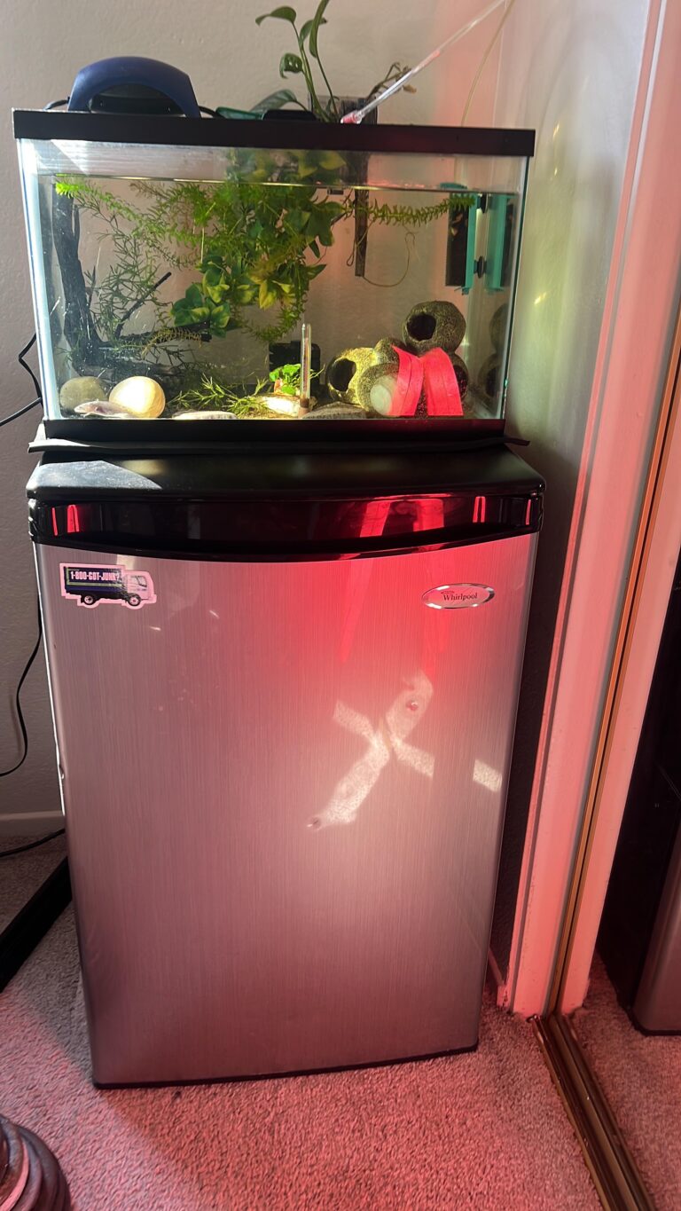 ଫ୍ରିଜ୍ ଉପରେ ଭୁଲରେ ବି ରଖନ୍ତୁନି ଏହି ଜିନିଷ, ନଚେତ ଭୋଗିବେ ବଡ଼ ସମସ୍ୟା