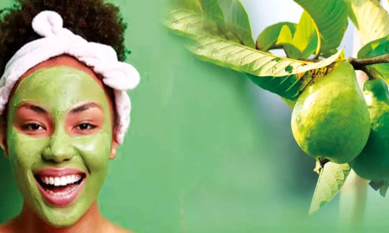 ଖରାଦିନେ ବ୍ରଣ ପାଇଁ ଲଗାନ୍ତୁ ପିଜୁଳି ପତ୍ରର ଫେସ୍‌ ପ୍ୟାକ୍‌