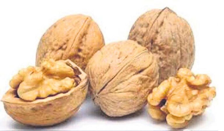 ଜାଣନ୍ତୁ ଅଖରୋଟର ସ୍ୱାସ୍ଥ୍ୟ ଉପକାରୀ ଲାଭ