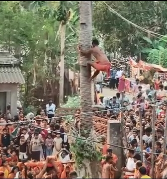 ଖଜୁରୀ ଗଛରେ ଚଢ଼ି ପୂଜା କରିବା ହେଲା କାଳ, ୨୦ ଫୁଟ ତଳକୁ ଖସି ଯୁବକ ମୃତ