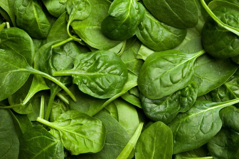 ପିଲାଙ୍କ ବ୍ରେନ୍ ପାୱାର ବଢାଏ ପାଳଙ୍ଗ ଶାଗ