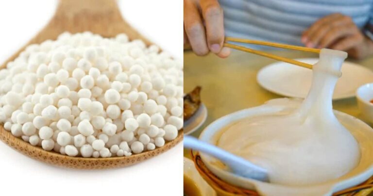 ସାରା ଦିନ ଶରୀରକୁ ଯୋଗାଏ ଶକ୍ତି, ଥରେ ମାତ୍ର ଖାଆନ୍ତୁ ସାଗୁ