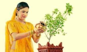 ଆସନ୍ତୁ ଜାଣିବା ଘରେ ତୁଳସୀ ଗଛ ଲଗାଇବାର ଧାର୍ମିକ ଲାଭ କ’ଣ?