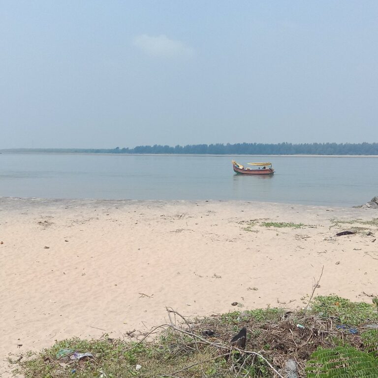 ମହାନଦୀକୁ ଡେଇଁ ନବ ବିବାହିତାଙ୍କ ଆତ୍ମହତ୍ୟା ଉଦ୍ୟମ, ଉଦ୍ଧାର ପରେ ମେଡିକାଲରେ ଭର୍ତ୍ତି