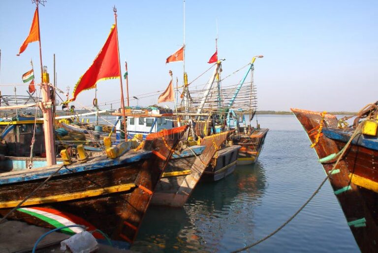 ଦୟା ନଦୀରେ ଭାସିଗଲେ ମତ୍ସ୍ୟଜୀବୀ, ମାଛ ଧରିବାକୁ ଯାଇ ପୁଅ ନିଖୋଜ
