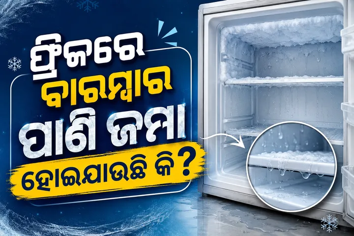 ଫ୍ରିଜରେ ବାରମ୍ବାର ପାଣି ଜମା ହୋଇଯାଉଛି କି? ମେକାନିକକୁ ଡାକିବା ପୂର୍ବରୁ ଏହି କାମ ନିଶ୍ଚୟ କରନ୍ତୁ